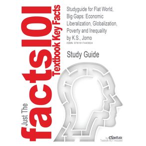 Studyguide-for-Flat-World-Big-Gaps