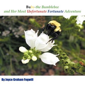 Bubs-the-Bumblebee-and-Her-Most-Unfortunate-Fortunate-Adventure