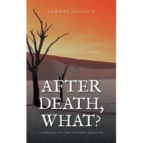 AFTER-DEATH-WHAT-