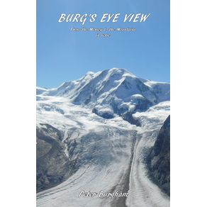 Burgs-Eye-View