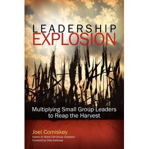 Leadership-Explosion