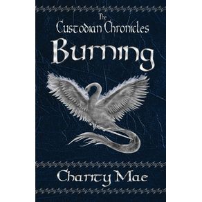 The-Custodian-Chronicles-Burning